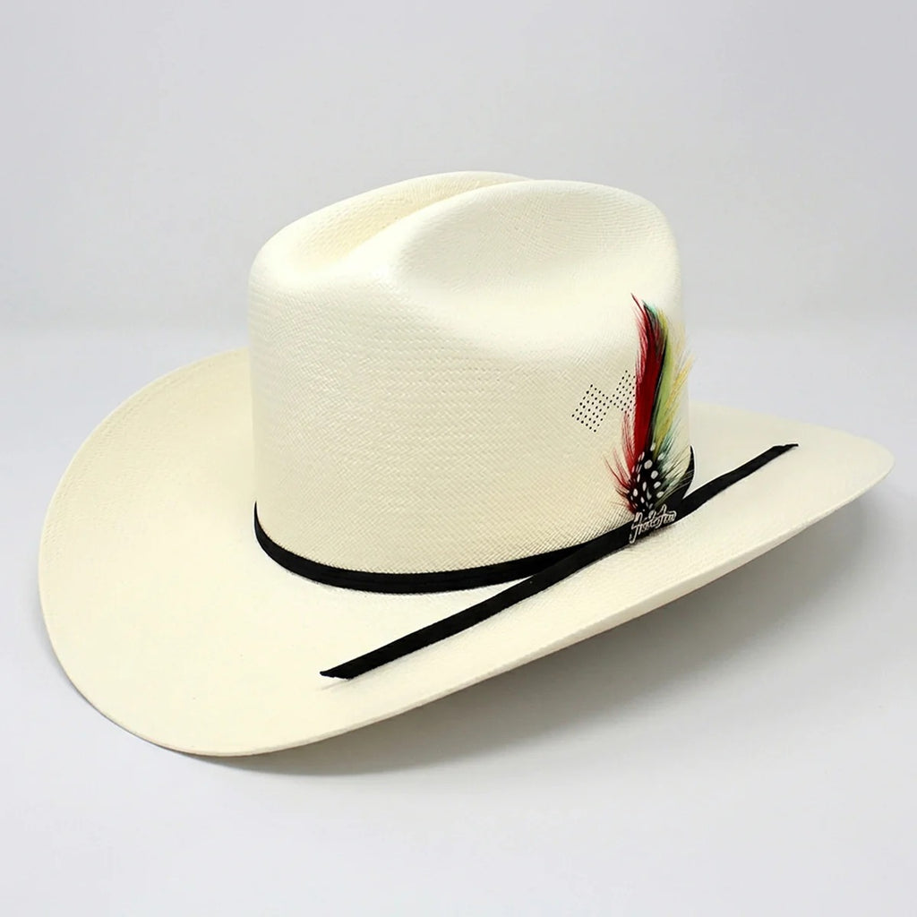 Tombstone Chaparral 100X Cowboy Hat