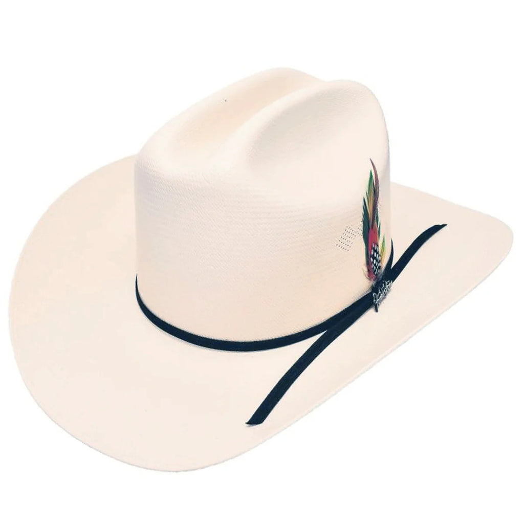 Tombstone Chaparral 100X Cowboy Hat