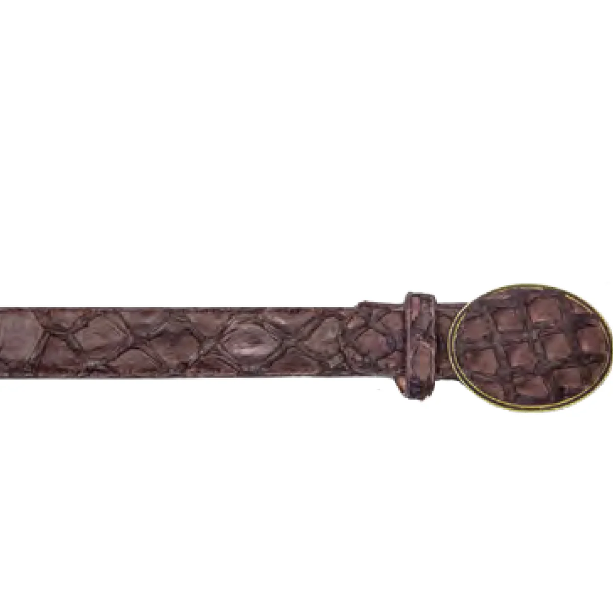 Tobacco Brown Pirarucu Belt